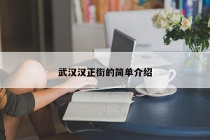 武汉汉正街的简单介绍