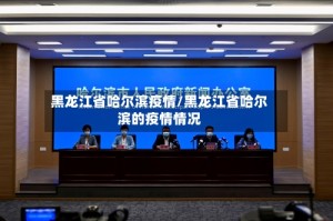 黑龙江省哈尔滨疫情/黑龙江省哈尔滨的疫情情况
