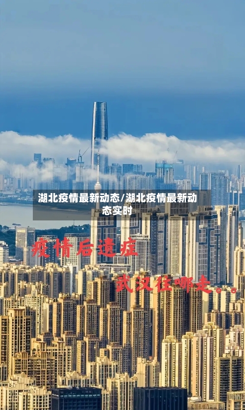 湖北疫情最新动态/湖北疫情最新动态实时-第1张图片