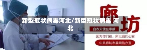 新型冠状病毒河北/新型冠状病毒 河北-第1张图片