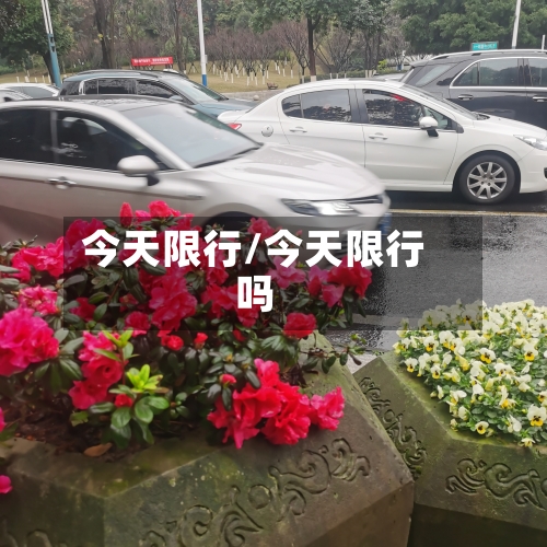 今天限行/今天限行吗-第2张图片