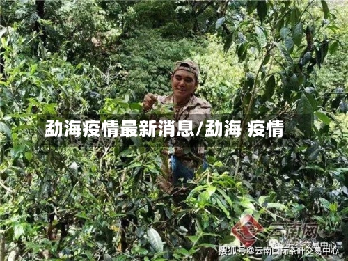 勐海疫情最新消息/勐海 疫情-第1张图片