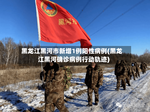 黑龙江黑河市新增1例阳性病例(黑龙江黑河确诊病例行动轨迹)-第2张图片
